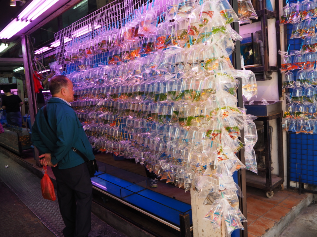 f:id:resortmiler:20170207003000j:plain