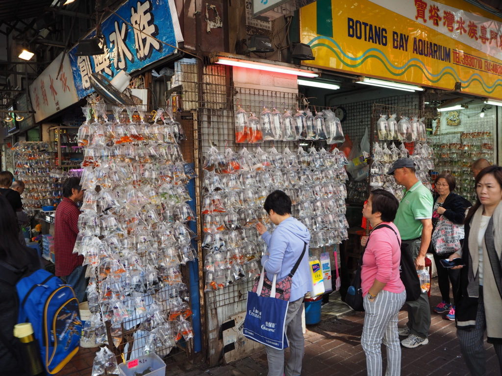 f:id:resortmiler:20170207003239j:plain