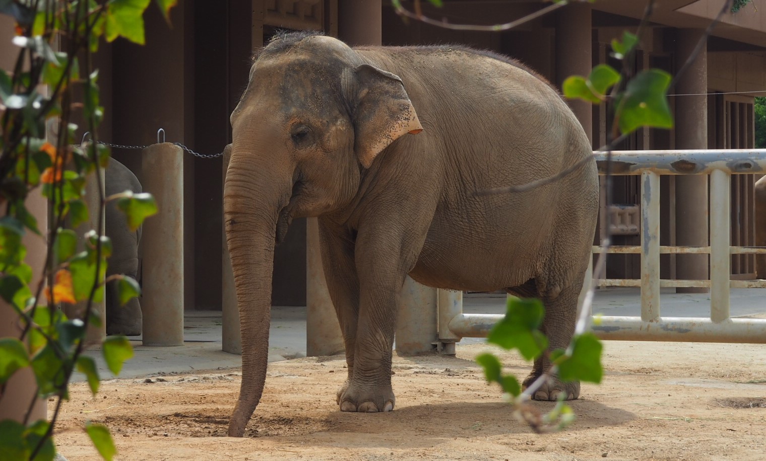 東山動物園は日本最大級！大人も子供も楽しめます