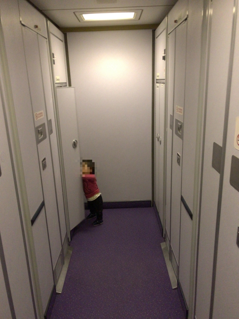 f:id:resortmiler:20180217162703j:plain f:id:resortmiler:20180217162703j:plain