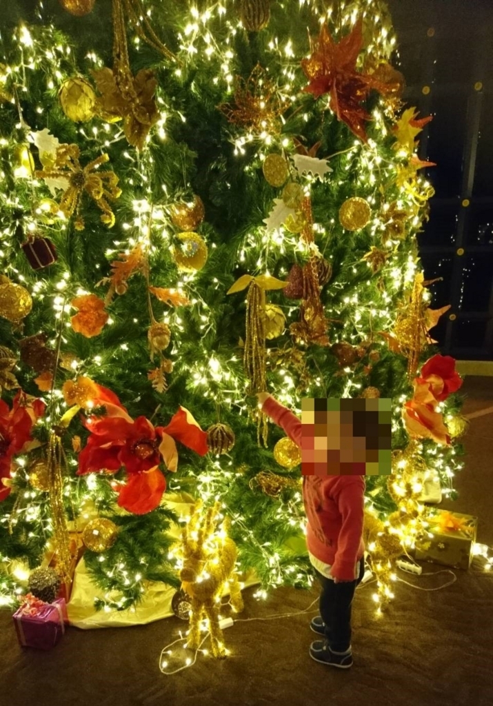 f:id:resortmiler:20180223063729j:plain f:id:resortmiler:20180223063729j:plain