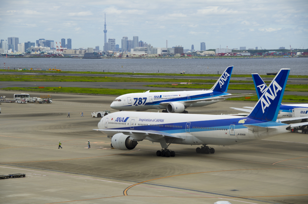 ANA国際線特典航空券の減額マイルキャンペーンで最大7000マイルもお得!
