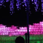 日本最大級のイルミ―ネーション「なばなの里」攻略ガイド