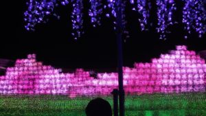 なばなの里「イルミネーション」完全攻略ガイド~秘密の裏技も!~