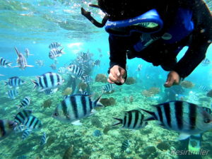 2019年の旅行を振り返り。2020年もよろしくお願いします。