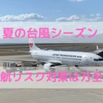 【台風シーズン】欠航へのリスク対策を万全にしておこう!国内編