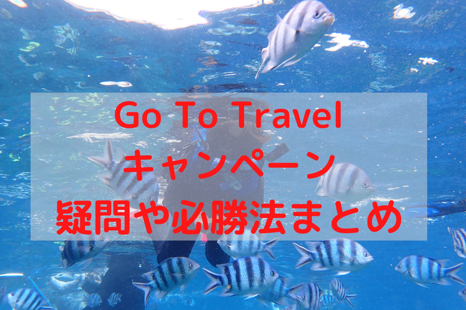 GO TO TRAVEL キャンペーンの利用方法 ー 事後申請しました