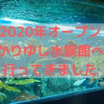 DMMかりゆし水族館への訪問記、行き方、チケットの買い方