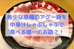 しゃぶしゃぶ専門店「たくよし」でアグー豚原種の黒琉豚を堪能!