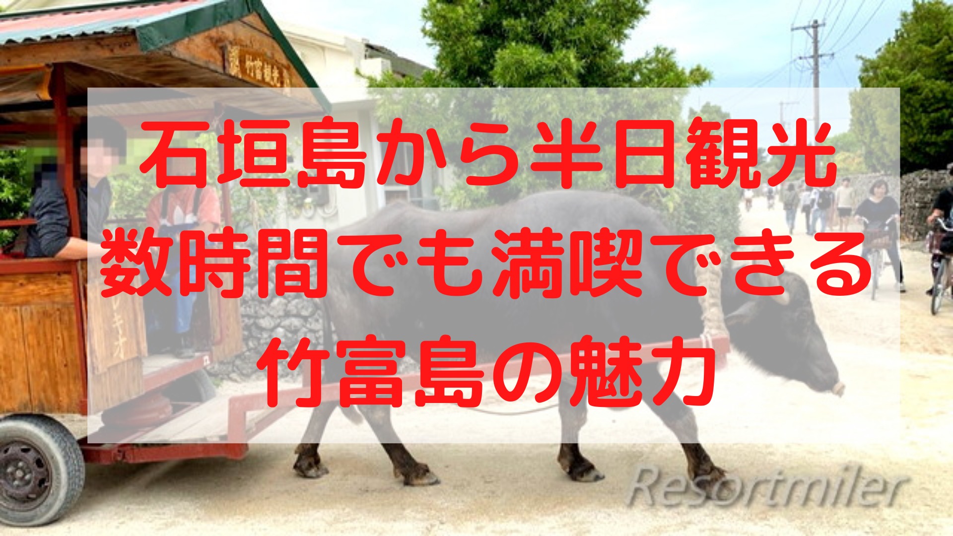 石垣島から半日観光！魅力的な竹富島を満喫しよう！！