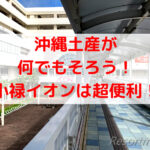 沖縄のお土産は小禄のイオンで買おう!スーツケース持参もOK♬
