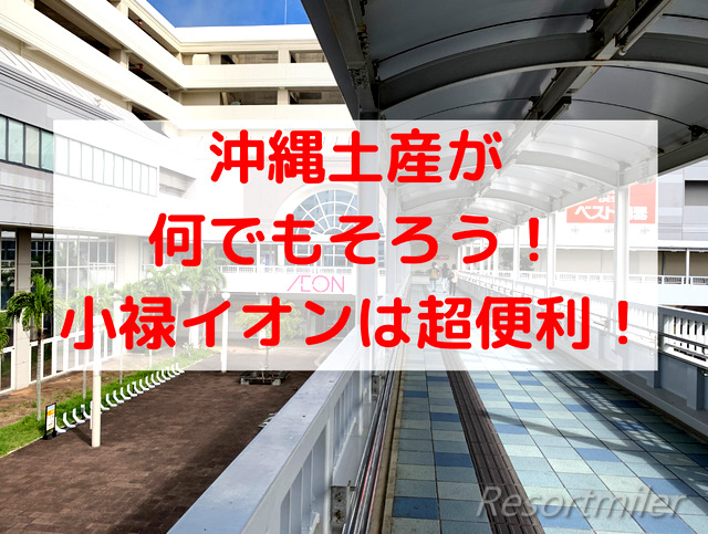 沖縄土産は小禄のイオンで買おう スーツケース持参もok