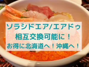 ソラシドエアとエアドゥ、統合でマイル旅がお得に!